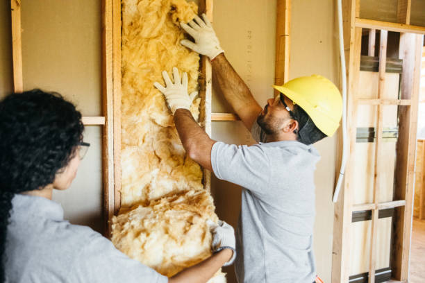 Attic Insulation Near Me in Zumbrota, MN